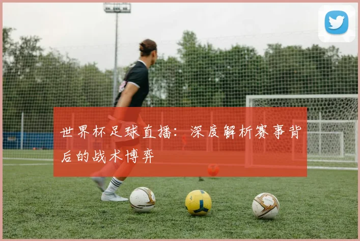世界杯足球直播：深度解析赛事背后的战术博弈