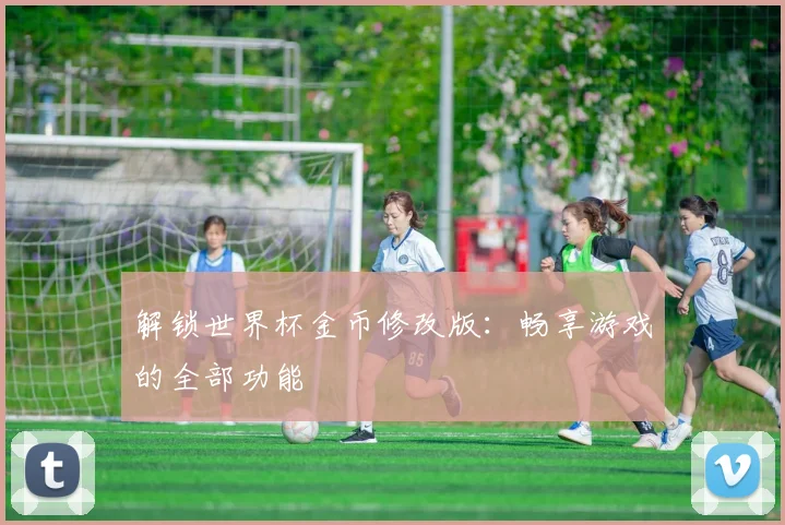 解锁世界杯金币修改版：畅享游戏的全部功能