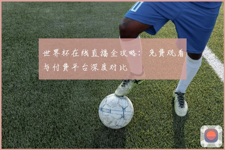 世界杯在线直播全攻略：免费观看与付费平台深度对比