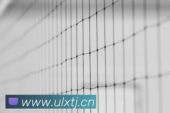 九游在线平台生态图