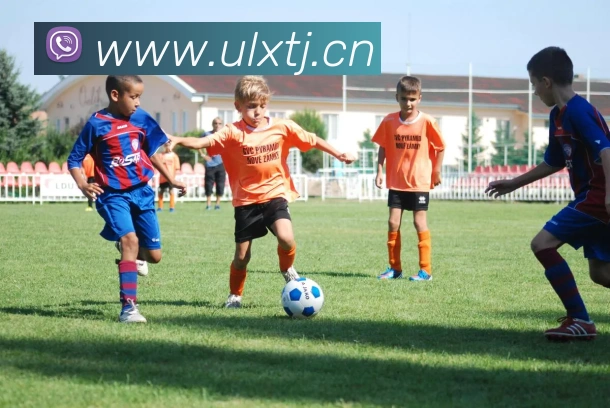 九游在线APP 封面图